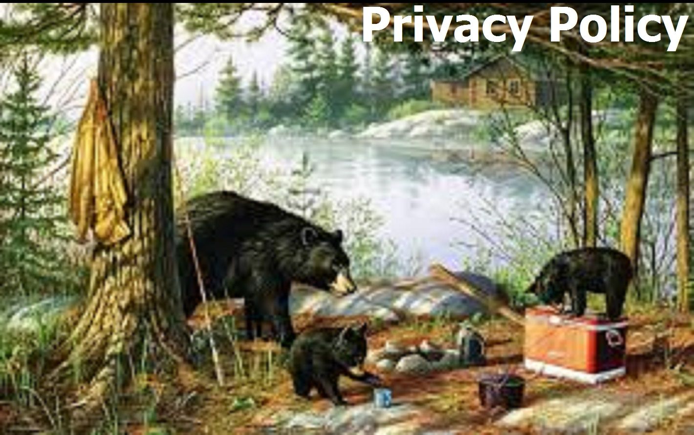 Privacy Policy