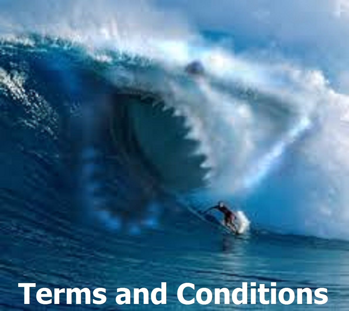 Terms and Conditions